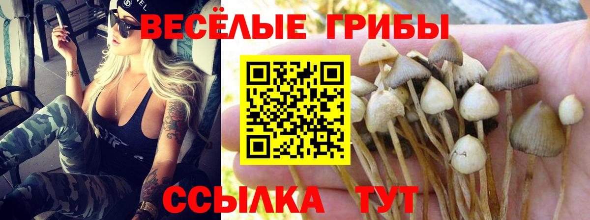 Галлюциногенные грибы мицелий  Вход с VPN  Галлюциногенные грибы Magic Shrooms  Тулун 
